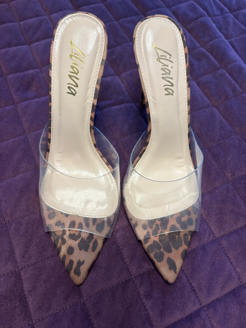 Liliana Leopard Print Pointed-Toe Mules with Clear Strap